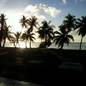 Meet your Posher, Luvina